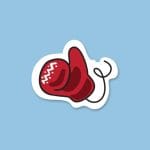 Boxing Like | Sticker