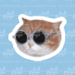 Cool Cat Glasses  | Sticker