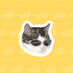 Cool Chill Cat  | Sticker
